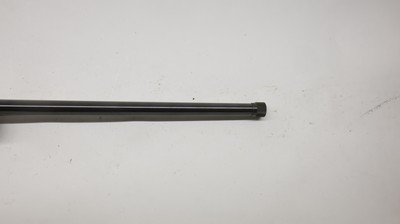 CZ USA 452 452-2E-SKMAmerican 17 HMR, 23