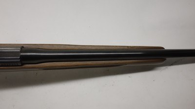 CZ USA 452 452-2E-SKMAmerican 17 HMR, 23