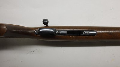CZ USA 452 452-2E-ZKM American 17 HMR, 21
