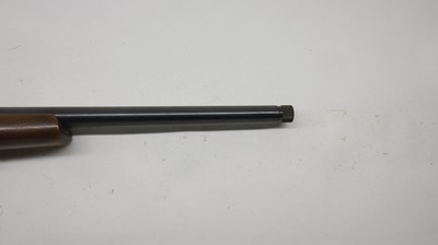 CZ USA 452 452-2E-ZKM American 17 HMR, 21