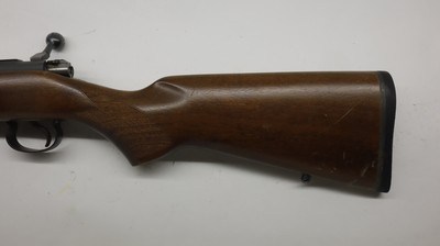 CZ USA 452 452-2E-ZKM American 17 HMR, 21