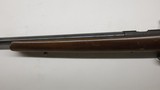 CZ USA 452 452-2E-ZKM American 17 HMR, 21