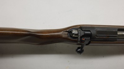 CZ USA 452 452-2E-ZKM American 17 HMR, 21