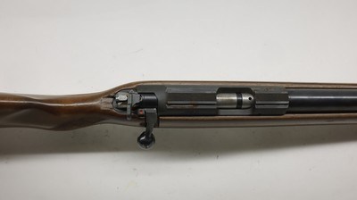 CZ USA 452 452-2E-ZKM American 17 HMR, 21