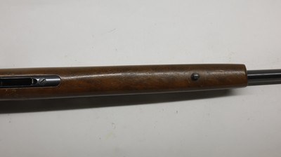 CZ USA 452 452-2E-ZKM American 17 HMR, 21