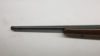 CZ USA 452 452-2E-ZKM American 17 HMR, 21
