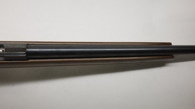 CZ USA 452 452-2E-ZKM American 17 HMR, 21