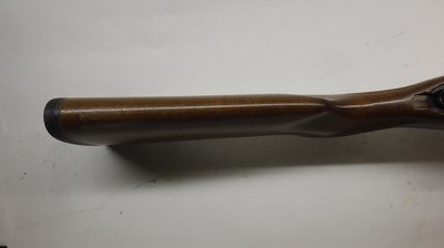 CZ USA 452 452-2E-ZKM American 17 HMR, 21