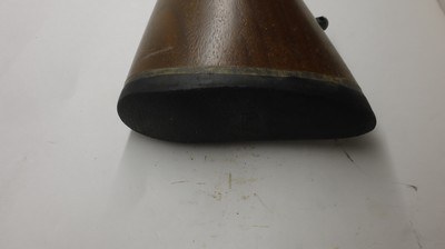 CZ USA 452 452-2E-ZKM American 17 HMR, 21