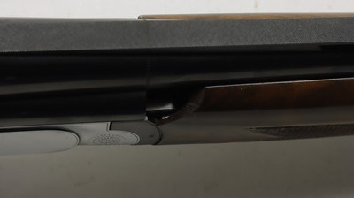 Kimber by Investarm L1 Sporting 12ga 30