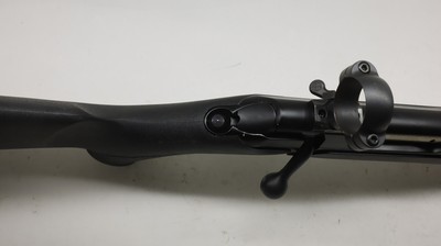 Sauer J P 202 Synthetic, 243 Win 23