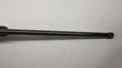 Browning A-Bolt Medallion 22-250 Remington 1992 22
