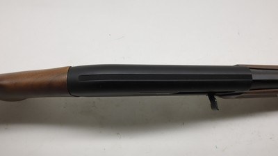 Winchester SX4 Super X 4 Field 20ga 26