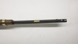 Henry Golden Boy Pipeline Special edition New old stock 22lR Octagon - 16 of 25