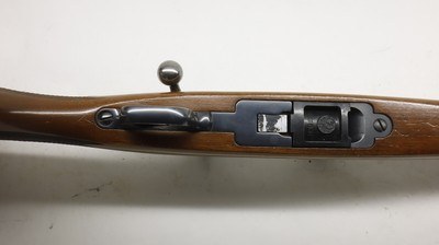 Ruger 77/22 22LR 20