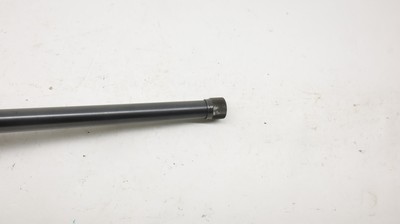 Ruger 77/22 22LR 20