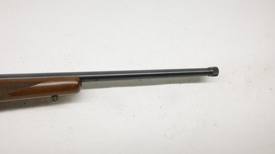 Ruger 77/22 22LR 20