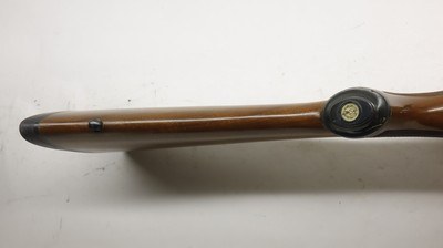 Ruger 77/22 22LR 20