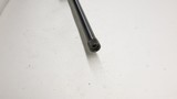 Ruger 77/22 22LR 20