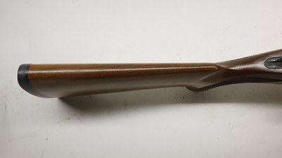 Ruger 77/22 22LR 20