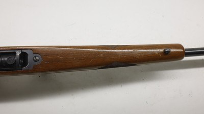 Ruger 77/22 22LR 20