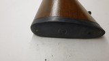 Ruger 77/22 22LR 20