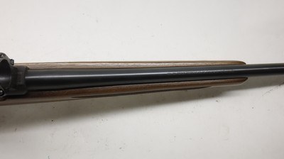 Ruger 77/22 22LR 20
