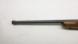 Ruger 77/22 22LR 20