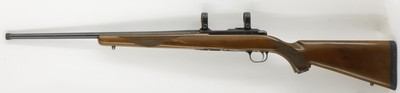 Ruger 77/22 22LR 20