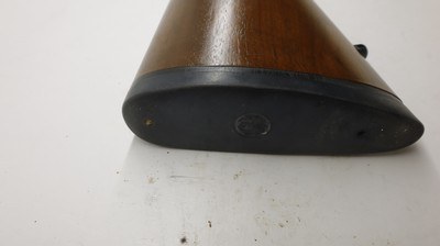 Ruger 77/22 22LR 20