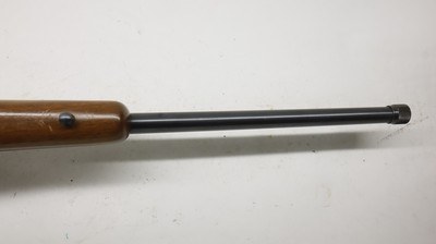 Ruger 77/22 22LR 20