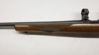 Ruger 77/22 22LR 20