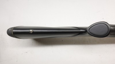 Browning X-Bolt 243 Win Stainless Stalker 22