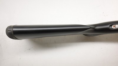 Browning X-Bolt 243 Win Stainless Stalker 22