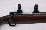 Winchester 70 SA Sporter 243 Winchester New Haven Conn Rings - 1 of 21