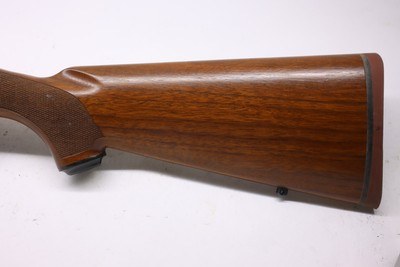 Ruger M77 Hawkeye 243 Win 22