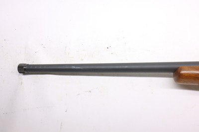 Ruger M77 Hawkeye 243 Win 22