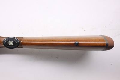 Ruger M77 Hawkeye 243 Win 22