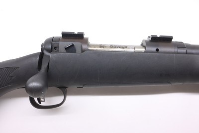 Savage 12 Syntenic 26