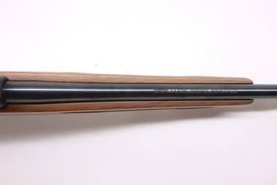 Ruger 77/22 22 Mag 20
