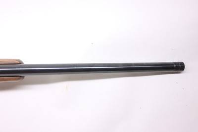 Ruger 77/22 22 Mag 20