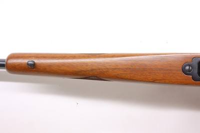 Ruger 77/22 22 Mag 20