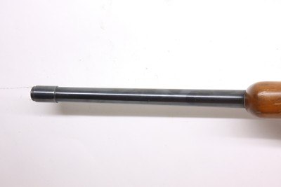 Ruger 1022 10/22 18