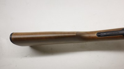 Winchester Ranger 22LR 20
