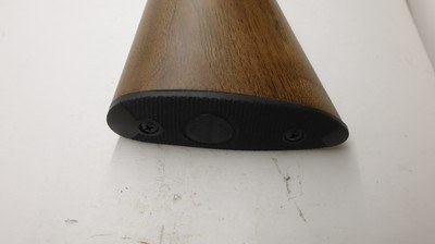 Winchester Ranger 22LR 20