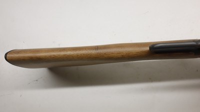Winchester Ranger 22LR 20