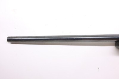 Winchester 70 XTR Sporter 243 Win, 22