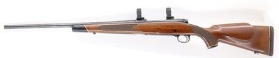 Winchester 70 XTR Sporter 243 Win, 22