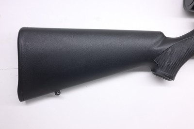 Savage 93 FVSS 22WMR 21