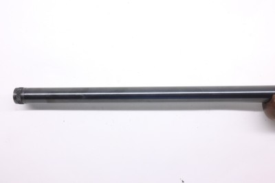 Ruger 77 17 77/17 17 WSM 20